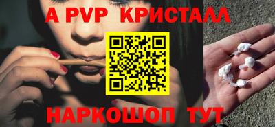 стаф Новокубанск