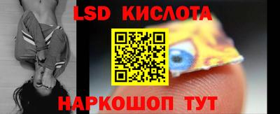 скорость Новозыбков