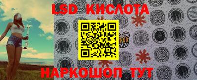 стаф Новокубанск