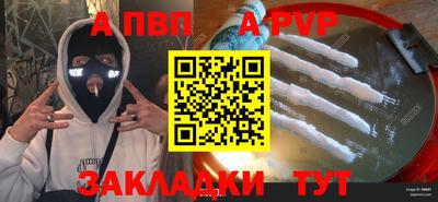 стаф Новокубанск