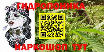 скорость Новодвинск