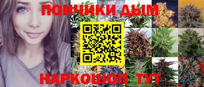 скорость Новозыбков