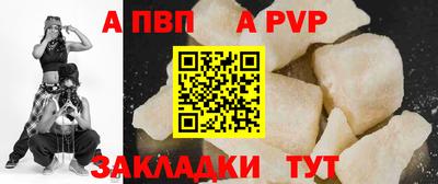 стаф Новокубанск